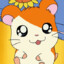 Hamtaro