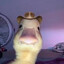 Kinda drunk māori duck