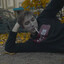 ай бля