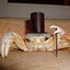 Crabra Kadabra