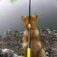 从天而降的一套电锯