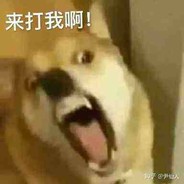 来打我啊//笨蛋