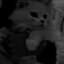 Meow