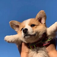 終焉統治帝國・咆哮せし不滅猛虎覇王