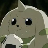 不露艾斯坏他多拉贡