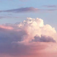 网瘾少女柔希-淡淡的向日葵