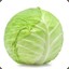21 Cabbage
