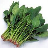 对不起， 我是一颗菠菜