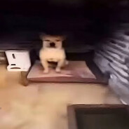 我是蟹黄包，早蟹，人黄，脑有包