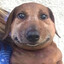 DoggyStyle