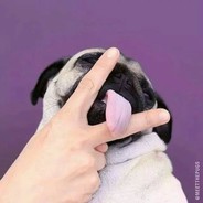 沙城霸主二狗子