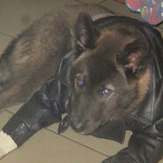 xyqenko avatar
