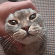 Империя кваса