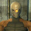 greyfoxR