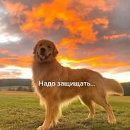 Гаф Гаф#bloodrust