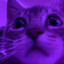 flacooM's avatar
