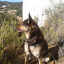 JoDeRoS