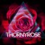 ThornyRose