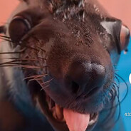 Адская дрочильня