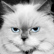 Big Avatar