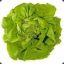 GreenSalad