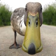 quack - steam id 76561197961375579