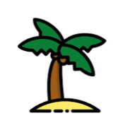 PALM TREE