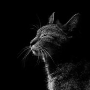 add_ekk007_skins.army