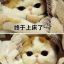 铭铭
