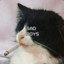 criaqs
