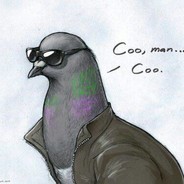 Security Pigeon