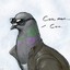 Security Pigeon