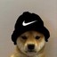 PERRITO NIKE