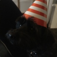 fiction - steam id 76561197962985604
