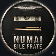 Numai Bile Frate