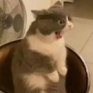 在干嘛？有空吗？能扶一下吗？