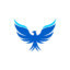 Blue_Phoenix_Main