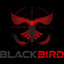 Blackbird