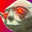 DummiThiccYoda
