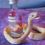 Drunken Snake