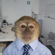 Monki_Dev.jsx