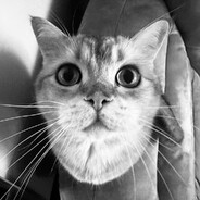 Avatar snapshot