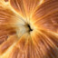 Bread Dragon Empire