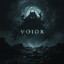 VOIDx