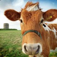 Warbwi - steam id 76561197970951189