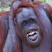 The Spazzy Orangutan