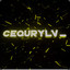 cequryLV_ csgofast.com