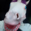 Look Who´s back