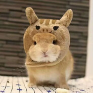 采蘑菇的九叔