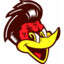 Woody_163